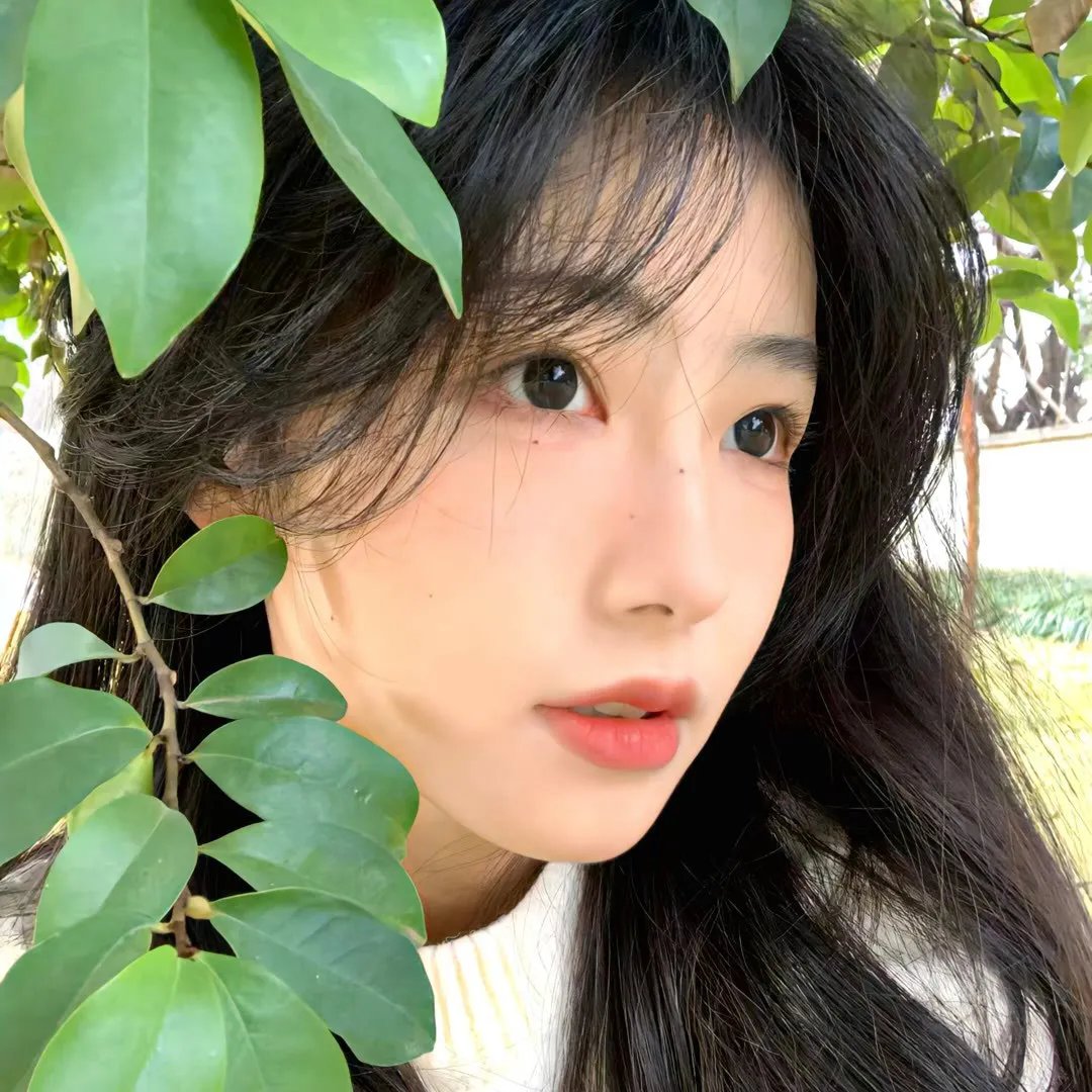 社会学家和小熊